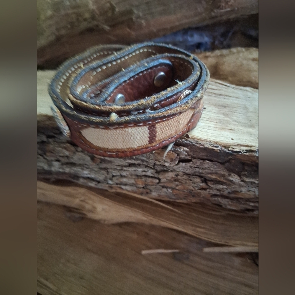 Source Unknown Brown and Tan Kids Belt